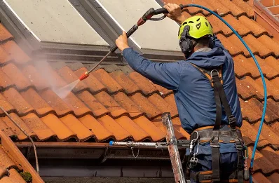 Démoussage et hydrofuge de toiture à Cintheaux